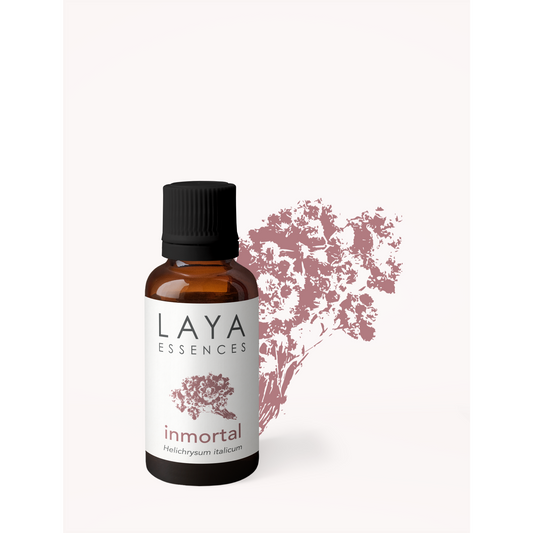 Inmortal Helichrysum